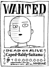 One-Punch Man - Saitama in the One Piece Universe (Doujinshi)
