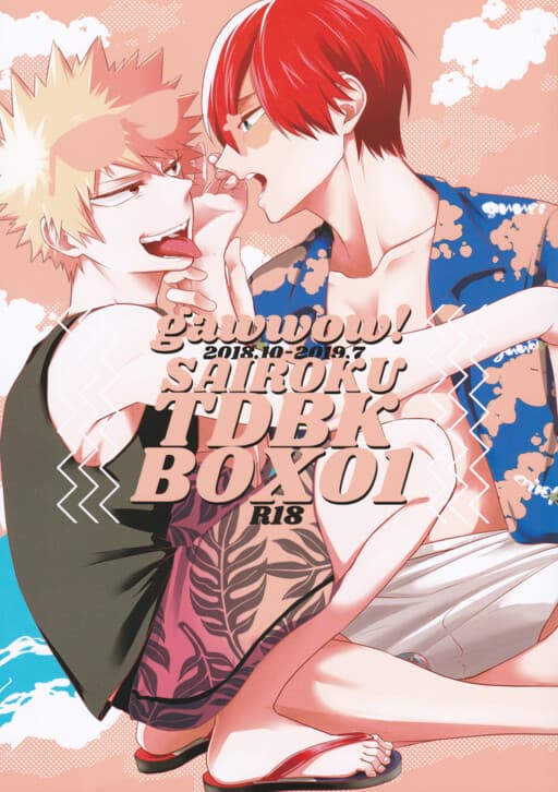 My Hero Academia - TDBK BOX (Doujinshi)