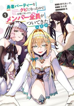 Yuusha Party wo Kubi ni Natta node Kokyou ni Kaettara, Member Zenin ga Tsuite Kitan da ga
